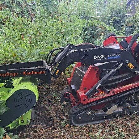 Gebüsch Forstmulchen