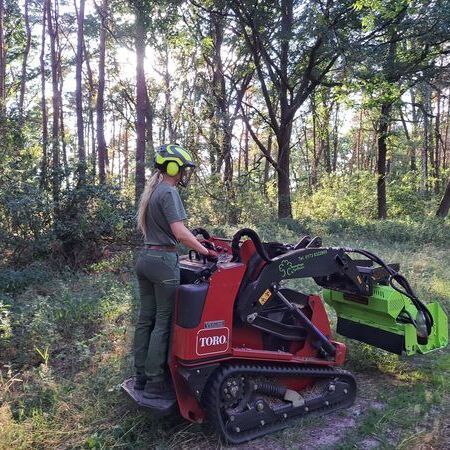 Forstmulchen Toro Dingo auf Kettenfahrwerk