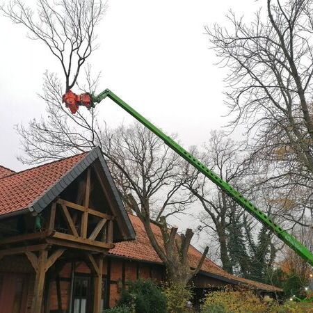 Merlo Roto 45.21 Fällkran