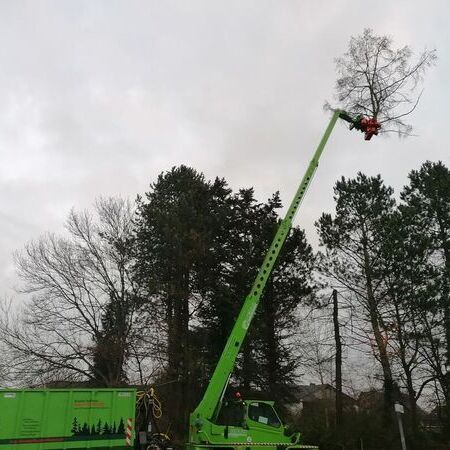 Merlo Roto 45.21 Fällkran