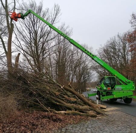 Baumfällung für die Straßenmeisterei