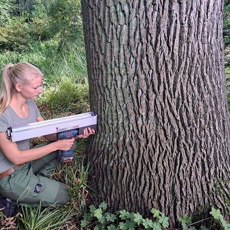 Bohrwiderstandsmessung zur Ermittlung der Restwandstärke