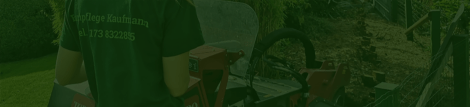 Stubbenfräsen & Wurzelentfernung